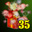 烟花礼盒(35)