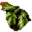 甘草