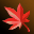 好看的枫叶